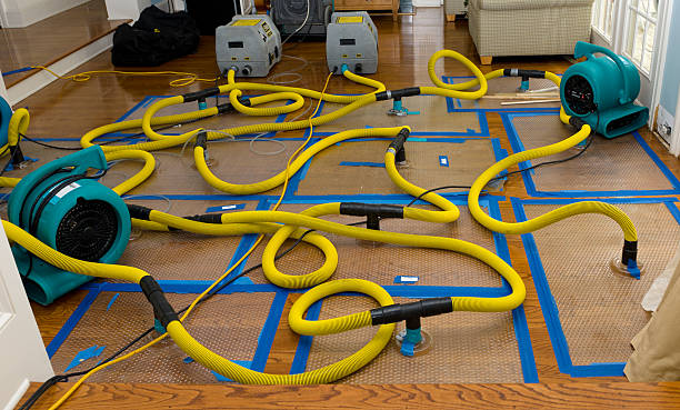 Professional Water Damage Repair technician working in Hay, WA